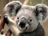 create image test