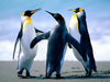 create image test
